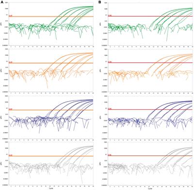 Retrospective survey of Dickeya fangzhongdai using a novel validated real-time PCR assay